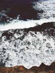 A Heavenly Gift: The