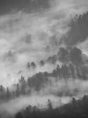 The Realm of the Dao