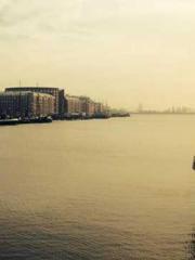 One Pregnancy, Two B