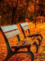 Mr. Gu, your wife is