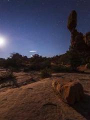 The Apothecaryapos;s