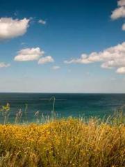 Rong Zhao, male, Nin