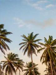 The Daring Wife of a