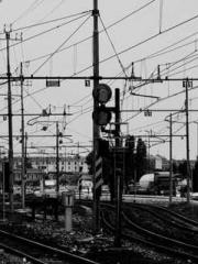 The Best Little Body